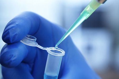 Lab Image